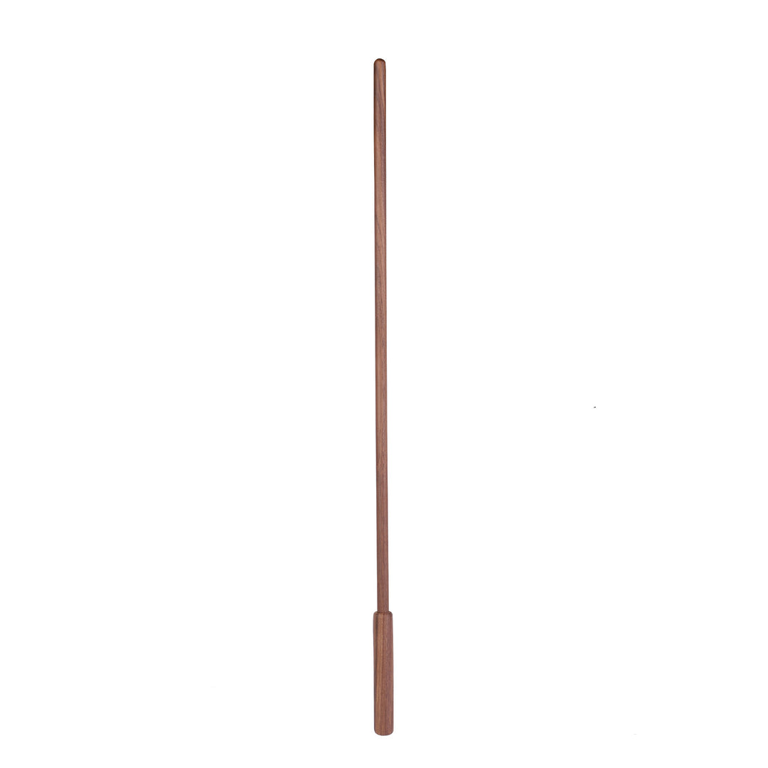 Teaching Stick